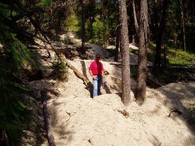 A typical dig area in the Lolo area that help in the closure of the area to Rockhounds... (Photo:Missoula Ranger District)